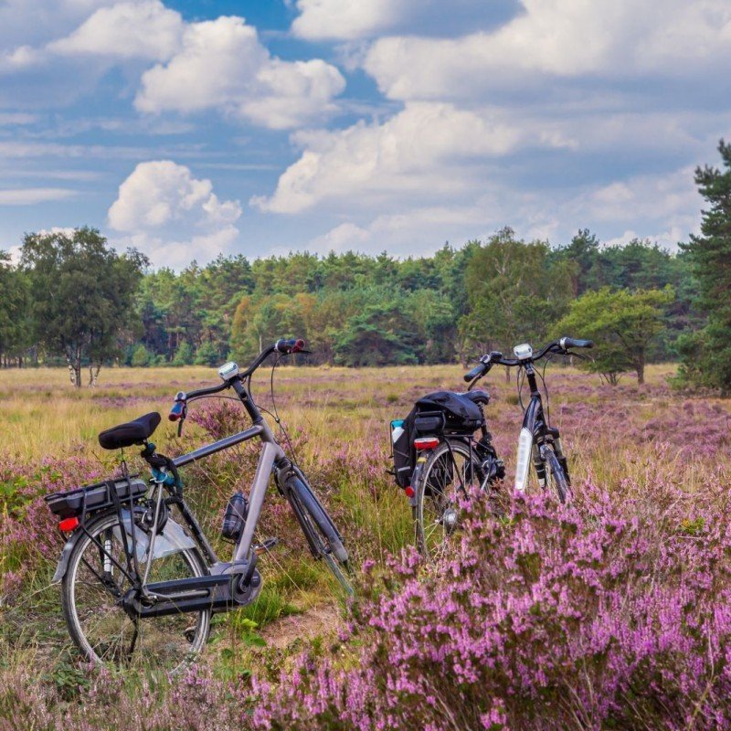 Fietsen en wandelen