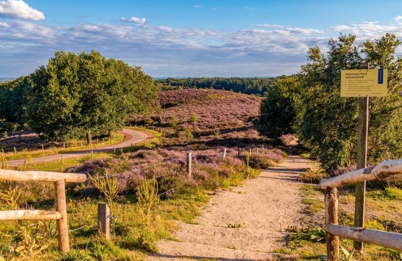 Ontdek de Veluwe